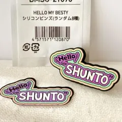 【SHUNTO】Hello My BESTY シリコンピンズ＆ネームステッカー