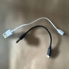 Item thumbnail for item a32c0bdf-0ac4-4417-b619-3ddcd7387969