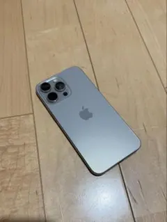 Apple iPhone 15 Pro Max 256GB 本体