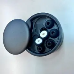 Item thumbnail for item 8b18a9d1-fd9e-4953-8509-146c07f29b27