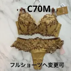 C70M チュチュアンナ　刺繍　花　イエロー　黄　T ショーツ　セット