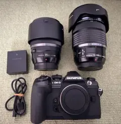2026年最新】om-d e-m1 mark iiの人気アイテム - メルカリ