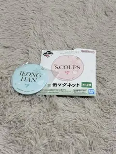 seventeen ジョンハン 缶バッチセット 2025年最新】ジョンハン 缶バッジの人気アイテム - メルカリ