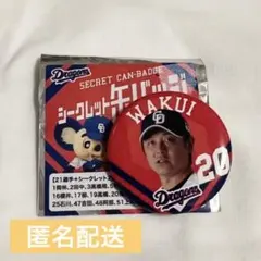 中日ドラゴンズ シークレット缶バッジ 涌井秀章