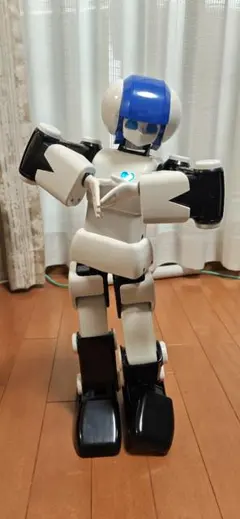 2026年最新】プリメイドAIの人気アイテム - メルカリ