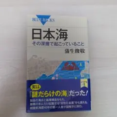 nosyfox様 リクエスト 4点 まとめ商品