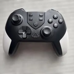 ジャンク品　ゲームコントローラー RL-SW5076760 ブラック/ホワイト