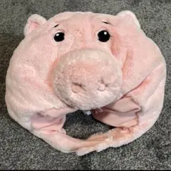 ディズニー ハム ファンキャップ