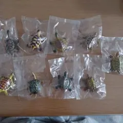 亀フィギュア　9体セット　新品