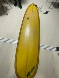 ロングボード マリンスポーツ