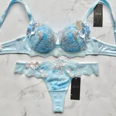 サルート　91G　セット