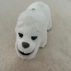 シャクレルプラネット ホワイトライオンのサムネイル
