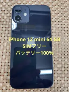 iPhone 12 mini 64 GB ブラックSIMフリー【6503】