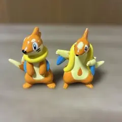 モンコレ　ブイゼル　フローゼル