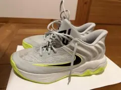 NIKE バッシュ ヤニス イモータリティ 4EP