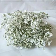 Chachamaru様 リクエスト 2点 まとめ商品