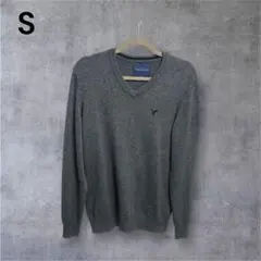 シ*タ様 AMERICAN EAGLE アメリカンイーグル Vネック セーター