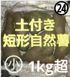 2026年最新】自然薯の人気アイテム - メルカリ