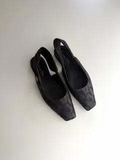 Christian Dior Mizza Slingback Flatのサムネイル
