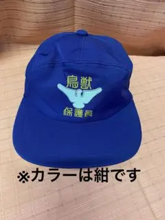 新品未使用 奈良天理高校 野球部 キャップ サイズO LL 天理高校帽子