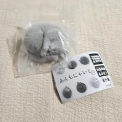 ★最終値下げ★ あんもにゃいと 黒猫
