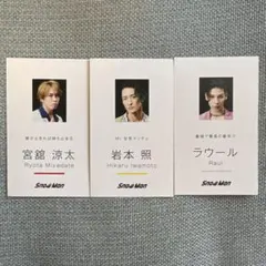 Snow Man 名刺カード 3枚セット 宮舘涼太 岩本照 ラウール