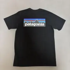 【美品】patagonia パタゴニア ブラック Tシャツ アウトドア