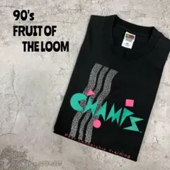 90's フルーツオブザルーム　シングルステッチ Tシャツ フェード　 企業系