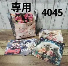 4045　こちらは専用です