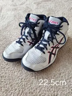 asics アシックス ダンクショットミニバス 22.5cm