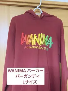 WANIMA Everybody!! Tour 2018 パーカー