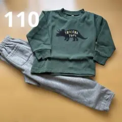 男児　男の子　トリケラトプス　裏起毛上下セット長袖長ズボンパジャマ　110