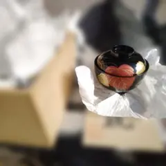 Item thumbnail for item 1afb268f-73d0-439b-ada9-a3280a352b0a