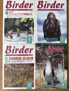 BIRDER 2002年 1～4月号まとめて4冊セット バードウォッチング