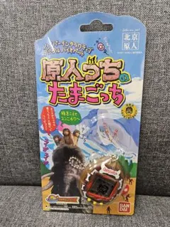 2025年最新】原人っちの人気アイテム - メルカリ