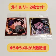 NARUTO疾風伝　忍界シールウエハースvol.2　ガイ&リー2枚セット