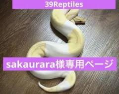 2025年最新】ヤワゲネズミの人気アイテム - メルカリ