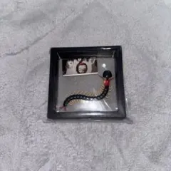 東京喰種ex 東京喰種 トーキョーグール グッズ ムカデの耳栓