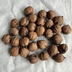 Item thumbnail for item da8755d3-3bec-45e4-a9a0-8bae7aaa65b3