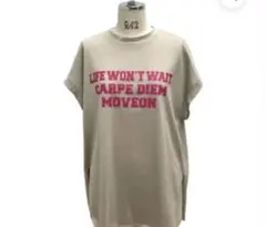 Item thumbnail for item 4066fac4-1580-4d0e-a847-471a9e9d148e