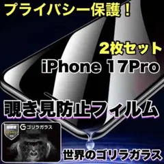 プライバシー保護【iPhone 17Pro】覗き見防止ガラスフィルム　2枚セット