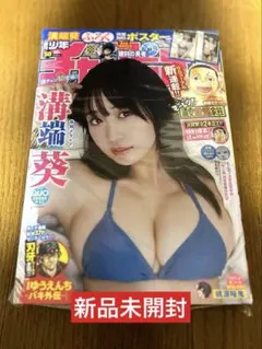 天下を獲れる笑顔とスタイル！人気沸騰溝端葵さん新作少年チャンピオン新品未開封品