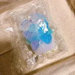キラキラ先生✨jammyjem squishy✨️クリアバタフライ✨️のサムネイル