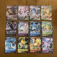 ブイズ 12枚セット