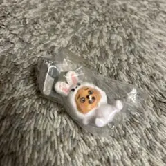 SKZOO つまんでつなげてますこっと　クオッカ　ボールキーチェーン