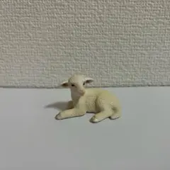 廃盤品 Schleich シュライヒ 子羊のサムネイル