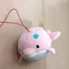 2025年最新】みいるかの人気アイテム - メルカリ