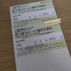 東急不動産ホールディングス　株主優待