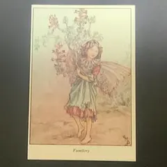 2026年最新】森永ハイクラウンカードの人気アイテム - メルカリ