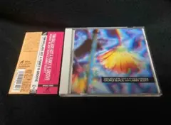 TMN　BALLADS　GOT　A　FUNKY＆GROOVE